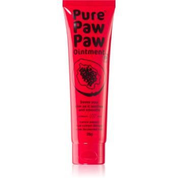 Pure Paw Paw Ointment balzám na rty a suchá místa 25 g