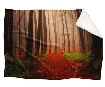 Deka Les na podzim (Rozměr : 200 x 140 cm, Podšití beránkem: ANO)