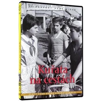 Kuřata na cestách - DVD (9365)