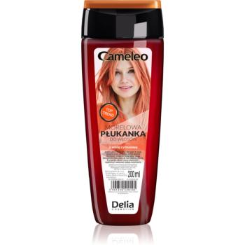 Delia Cosmetics Cameleo Flower Water tónovací barva na vlasy odstín Apricot 200 ml