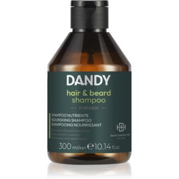 DANDY Beard & Hair Shampoo šampon na vlasy a vousy 300 ml