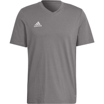 adidas ENTRADA 22 TEE Pánské triko, šedá, velikost