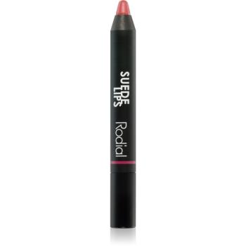 Rodial Suede Lips matná rtěnka v tužce odstín Black Berry 2,4 g