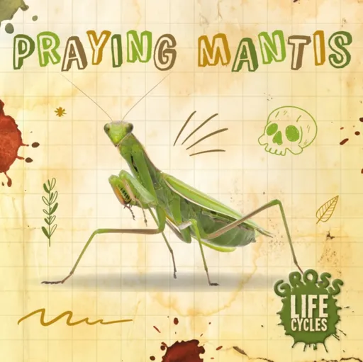 Praying Mantis - Anthony William
