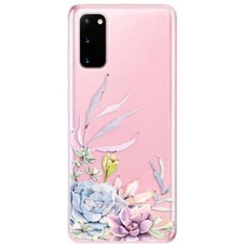 iSaprio Succulent 01 pro Samsung Galaxy S20 (succ01-TPU2_S20)