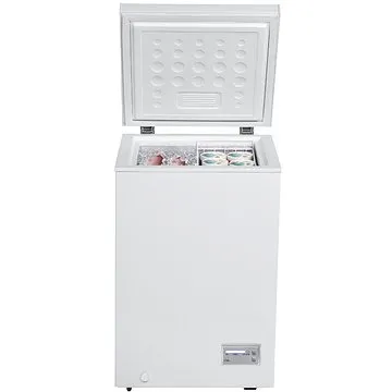 GUZZANTI GZ 101 (GZ 101)