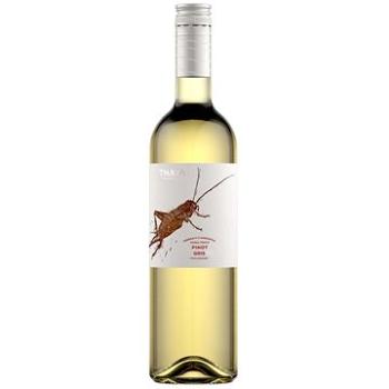 Thaya Pinot Gris - Pozdravy z národního parku Pozdní sběr 2021 0,75l 12,5% (8594173254985)