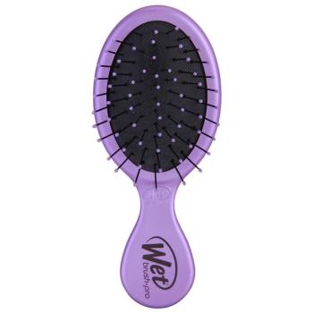 Wet Brush Mini Pro kartáč na vlasy cestovní Purple 1 ks