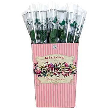 ACCENTRA Salsa Mýdlová Růže 1 × 5 g na stonku bílá (4027967840193)