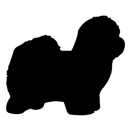 Vsepropejska Mag magnet na lednici ve tvaru psa Plemeno: Coton de Tulear