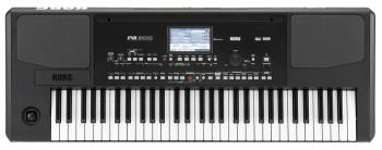 Korg Pa300