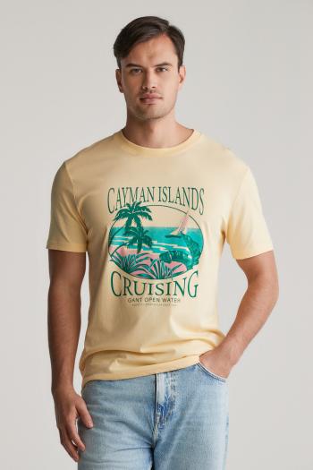 TRIČKO GANT PLACED GRAPHIC TSHIRT DUSTY LIGHT YELLOW