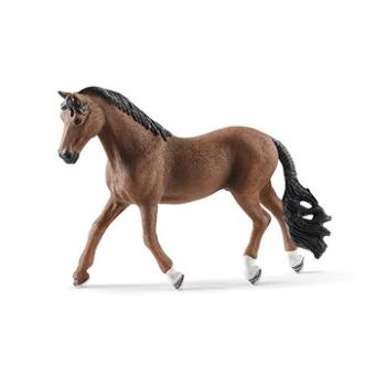 Schleich Valach trakénský 13909 (4059433013626)