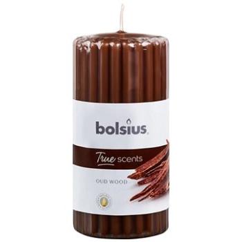 BOLSIUS True Scents Oud Wood 120 × 58 mm (8717847138606)