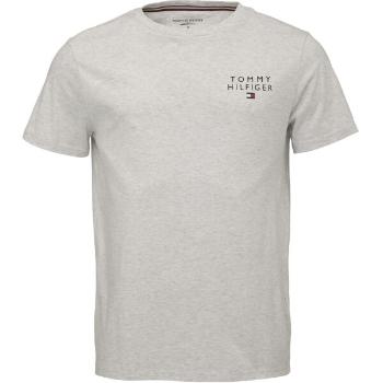 Tommy Hilfiger ORIGINAL-CN SS TEE LOGO Pánské tričko, šedá, velikost