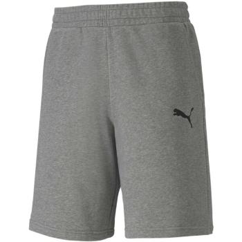 Puma TEAMGOAL 23 CASUALS SHORTS Pánské fotbalové šortky, šedá, velikost