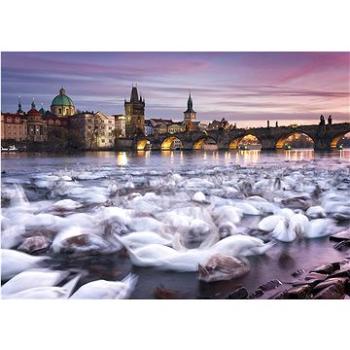 Puzzle Praha: Labutě na břehu Vltavy 1000 dílků (4001504596958)