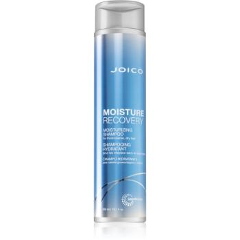 Joico Moisture Recovery hydratační šampon pro suché vlasy 300 ml