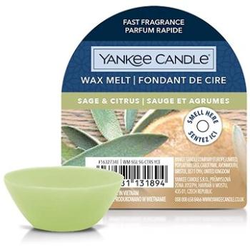 YANKEE CANDLE Sage & Citrus 22 g (5038581131894)