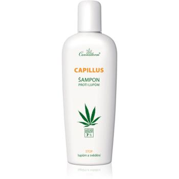 Cannaderm Capillus proti lupům Šampon šampon proti lupům s konopným olejem 150 ml