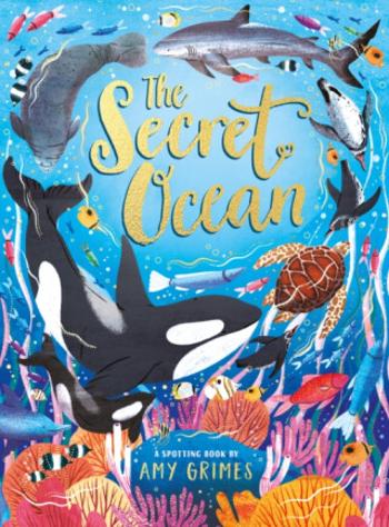 The Secret Ocean - Amy Grimes