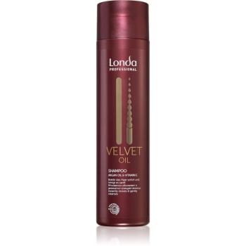 Londa Professional Velvet Oil šampon pro suché a normální vlasy 250 ml