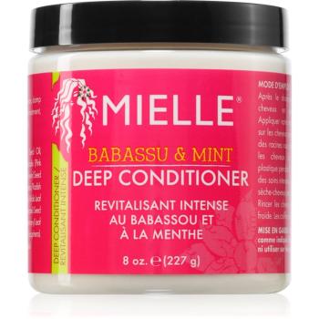 Mielle Babassu & Mint hloubkově vyživující kondicionér 227 g