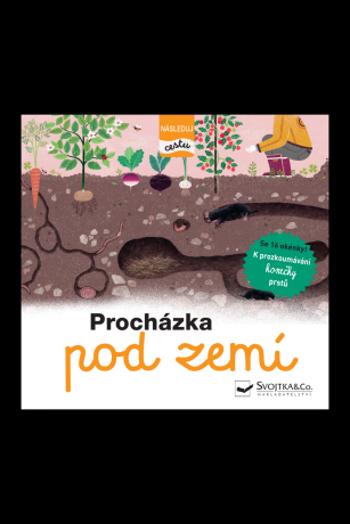 Procházka pod zemí - následuj cestu - Julie Faulques, Élisabeth de Lambilly