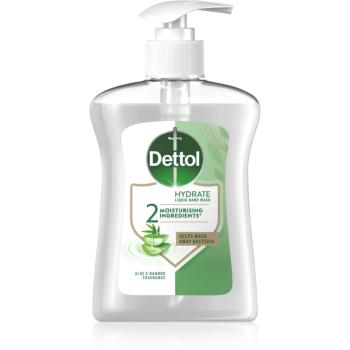 Dettol Soft on Skin Aloe Vera tekuté mýdlo na ruce 250 ml