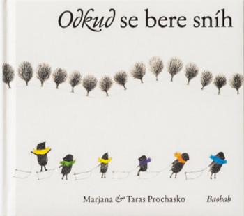 Odkud se bere sníh - Taras Prochasko