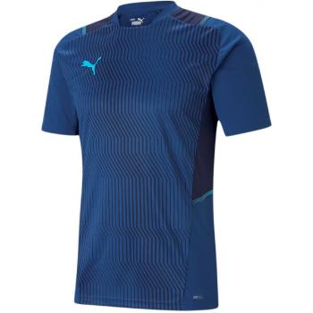 Puma TEAMCUP TRAINING JERSEY TEE Pánský dres, modrá, velikost