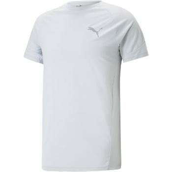 Puma EVOSTRIPE TEE Pánské sportovní triko, bílá, velikost