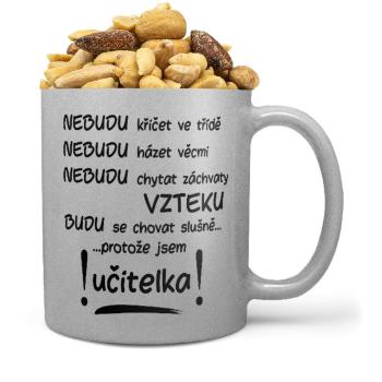 Hrnek Nebudu – učitelka (stříbrný) (Náplň hrníčku: Směs slaných oříšků)