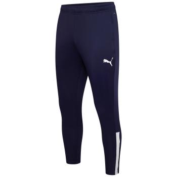 Puma teamLIGA Training Pants M