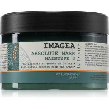 Elgon Green Imagea Absolute Mask maska pro poškozené vlasy 200 ml