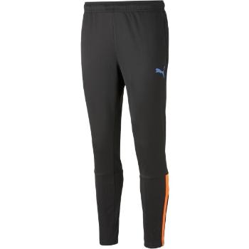 Puma TEAM LIGA TRAINING PANTS Pánské tréninkové kalhoty, černá, velikost