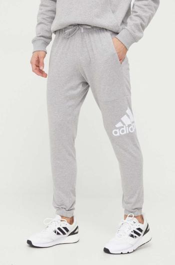 Tepláky adidas šedá barva, s potiskem, IC9429