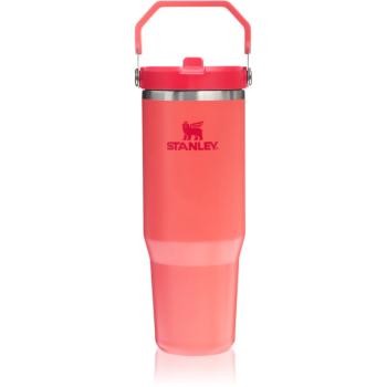 Stanley IceFlow™ Flip Straw Tumbler nerezová láhev na vodu Hot Coral 890 ml