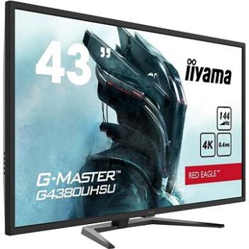 42,5" iiyama G-Master G4380UHSU-B1 (G4380UHSU-B1)