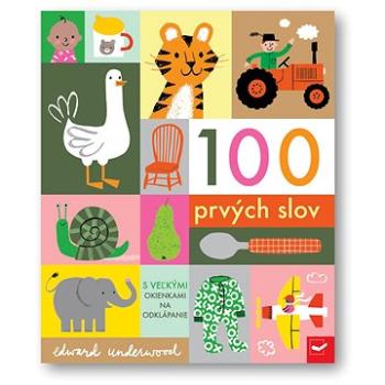 100 prvých slov  (978-80-567-0678-7)