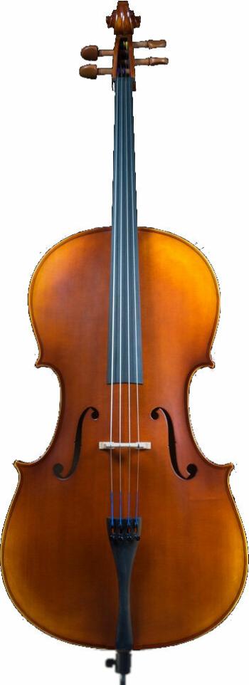 Pearl River PR-C01 3/4 Violončelo