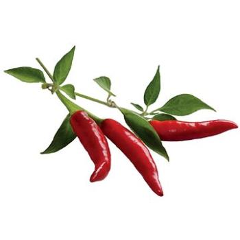 Click And Grow Chilli Paprička (CNG R3P CHP)