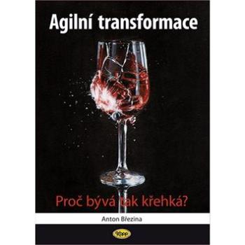 Agilní transformace: Proč bývá tak křehká? (978-80-7232-521-4)