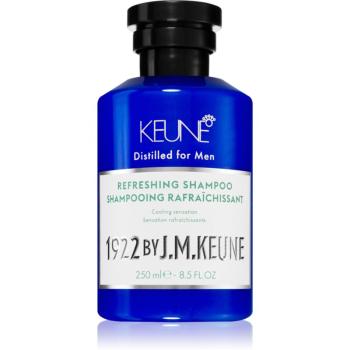 Keune 1922 Refreshing Shampoo energizující šampon pro posílení vlasů 250 ml