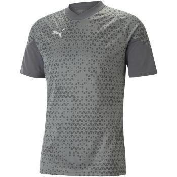 Puma TEAMCUP TRAINING JERSEY TEE Pánský dres, šedá, velikost