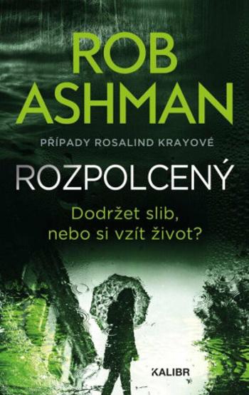 Rozpolcený - Rob Ashman