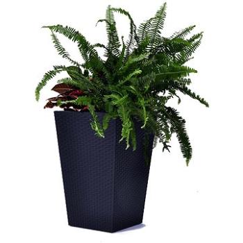 KETER Květináč RATTAN PLANTER M (228974)