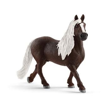 Schleich Hřebec Schwarzwaldský 13897 (4059433038988)