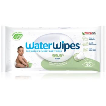 Water Wipes Baby Wipes Soapberry dětské jemné vlhčené ubrousky 60 ks