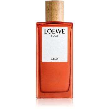 Loewe Solo Atlas parfémovaná voda pro muže 100 ml